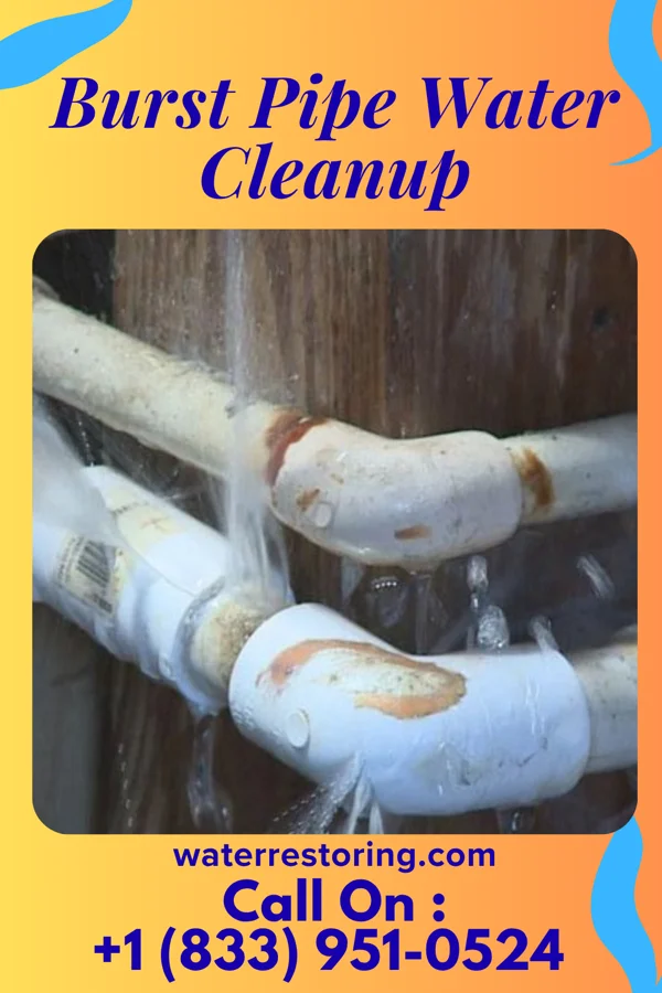 Burst Pipe Water Cleanup in Hibbing, MN