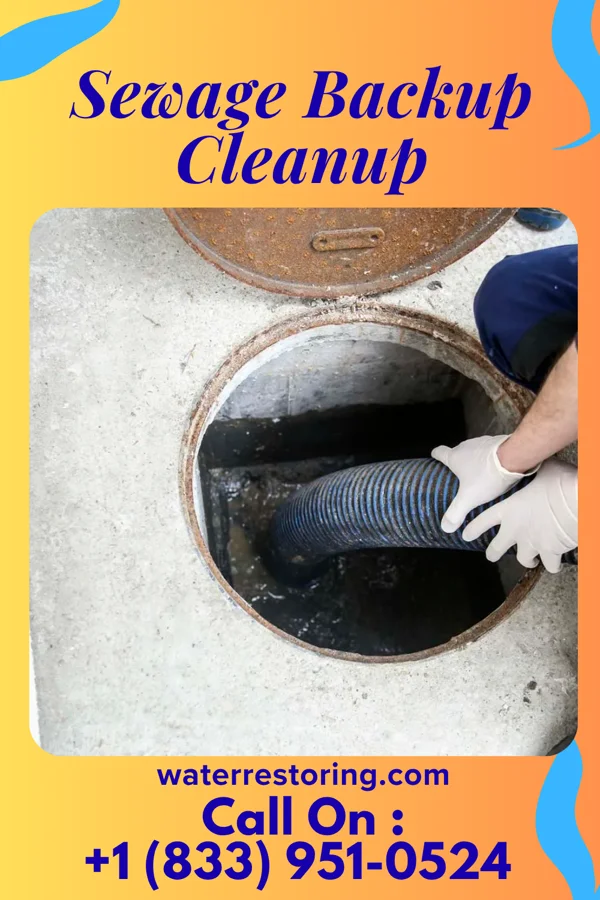 Sewage Backup Cleanup in Hibbing, MN